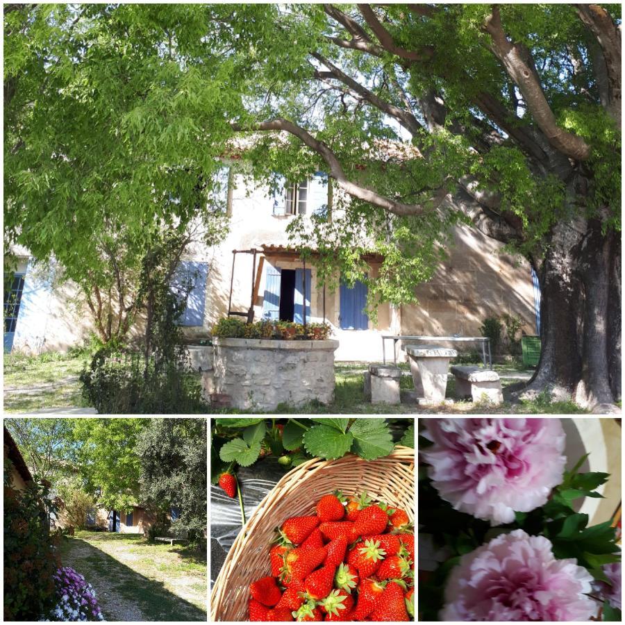 Mas Saint-Joseph Bed and Breakfast Fontvieille Εξωτερικό φωτογραφία